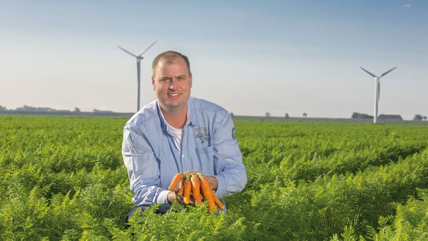 Lächelnder Mann in blauem Hemd hält frisch geerntete Karotten in einem großen Karottenfeld aus Eigenproduktion. Im Hintergrund sind Windräder und ein klarer Himmel zu sehen.