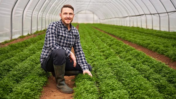 Lächelnder Mann in kariertem Hemd und Gummistiefeln kniet in einem Gewächshaus mit Reihen von grünen Kräutern aus Eigenproduktion.