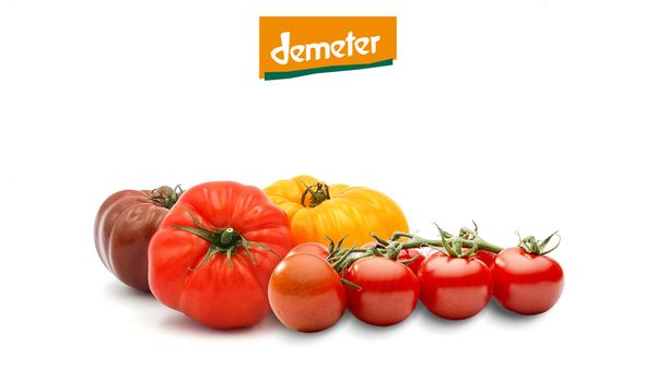 Vier Verschiedene Bio Tomaten mit Demeter Siegel nebeneinander in unterschiedlichen Größen und Formen