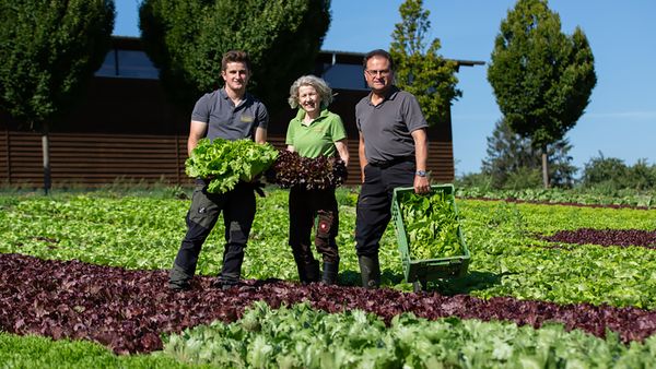 Drei Personen, zwei Männer und eine Frau, stehen in einem Feld und halten frisch geernteten grünen und roten Salat aus Eigenproduktion.