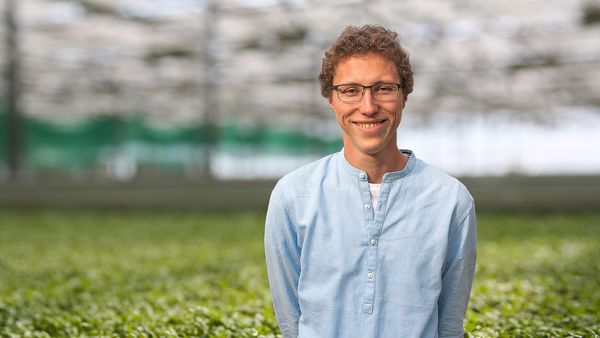 Lächelnder Mann mit Brille und blauem Hemd steht in einem großen Gewächshaus mit grüner Kresse aus Eigenproduktion im Hintergrund.