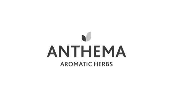 Anthema Logo mit schwarzem Text "ANTHEMA" und "AROMATIC HERBS", darüber zwei Blätter in Schwarz und Grau