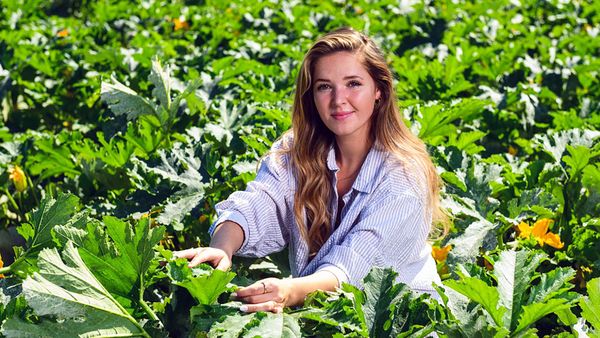 Junge Frau in gestreiftem Hemd sitzt in einem Zucchinifeld aus Eigenproduktion, umgeben von grünen Blättern und gelben Blüten