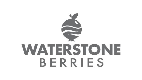 Waterstone Berries Logo in grauer Schrift mit einem stilisierten Beeren-Symbol darüber