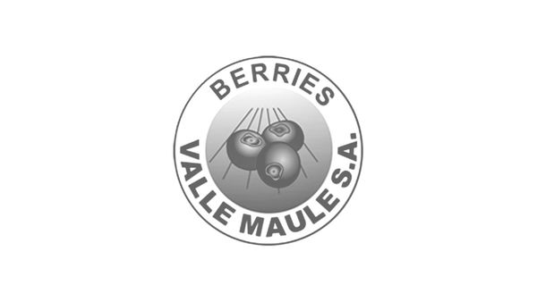 Berries Valle Maule S.A. Logo mit drei stilisierten Beeren und dem Text in einem Kreis