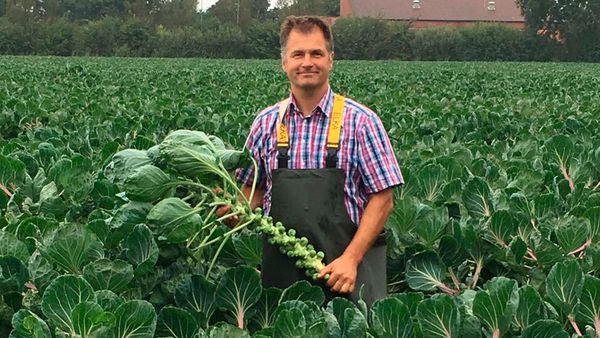 Lächelnder Mann in kariertem Hemd und Latzhose hält eine frisch geerntete Rosenkohlpflanze in einem großen Feld voller Rosenkohl aus Eigenproduktion.