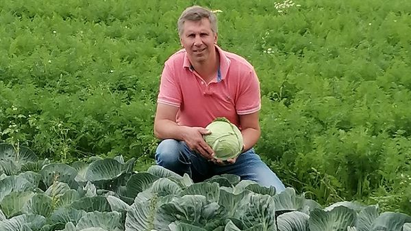Lächelnder Mann in rosa Hemd kniet in einem Feld mit Kohl- und Karottenpflanzen und hält einen frisch geernteten Kohlkopf aus Eigenproduktion.